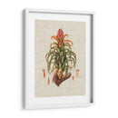 Elegantes Tropicales Iv - Vision Studio | Cuadro decorativo de Canvas Lab