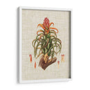 Elegantes Tropicales Iv - Vision Studio | Cuadro decorativo de Canvas Lab