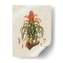 Elegantes Tropicales Iv - Vision Studio | Cuadro decorativo de Canvas Lab