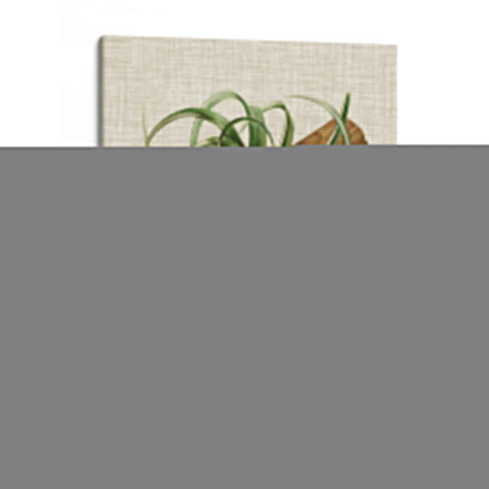 Elegantes Tropicales V - Vision Studio | Cuadro decorativo de Canvas Lab