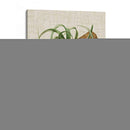 Elegantes Tropicales V - Vision Studio | Cuadro decorativo de Canvas Lab