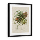 Elegantes Tropicales V - Vision Studio | Cuadro decorativo de Canvas Lab