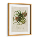 Elegantes Tropicales V - Vision Studio | Cuadro decorativo de Canvas Lab