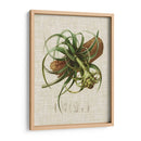 Elegantes Tropicales V - Vision Studio | Cuadro decorativo de Canvas Lab