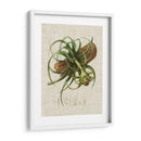 Elegantes Tropicales V - Vision Studio | Cuadro decorativo de Canvas Lab