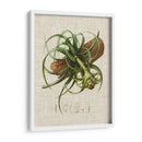 Elegantes Tropicales V - Vision Studio | Cuadro decorativo de Canvas Lab