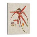 Elegantes Tropicales Vi - Vision Studio | Cuadro decorativo de Canvas Lab