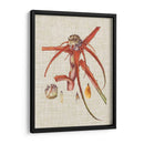 Elegantes Tropicales Vi - Vision Studio | Cuadro decorativo de Canvas Lab