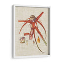 Elegantes Tropicales Vi - Vision Studio | Cuadro decorativo de Canvas Lab