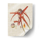 Elegantes Tropicales Vi - Vision Studio | Cuadro decorativo de Canvas Lab