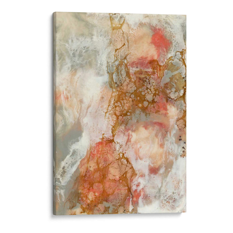 Coral De Encaje Ii - Jennifer Goldberger | Cuadro decorativo de Canvas Lab