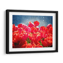 Fucsia Tulipanes I - Rachel Perry | Cuadro decorativo de Canvas Lab