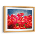 Fucsia Tulipanes I - Rachel Perry | Cuadro decorativo de Canvas Lab