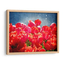 Fucsia Tulipanes I - Rachel Perry | Cuadro decorativo de Canvas Lab