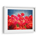 Fucsia Tulipanes I - Rachel Perry | Cuadro decorativo de Canvas Lab