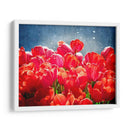 Fucsia Tulipanes I - Rachel Perry | Cuadro decorativo de Canvas Lab