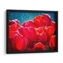 Fucsia Tulips Ii - Rachel Perry | Cuadro decorativo de Canvas Lab