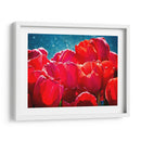 Fucsia Tulips Ii - Rachel Perry | Cuadro decorativo de Canvas Lab