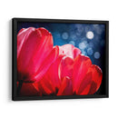 Fucsia Tulipanes Iv - Rachel Perry | Cuadro decorativo de Canvas Lab