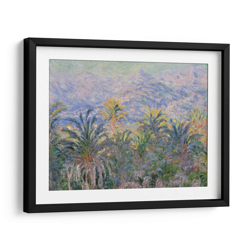 Palm Trees at Bordighera - Claude Monet | Cuadro decorativo de Canvas Lab