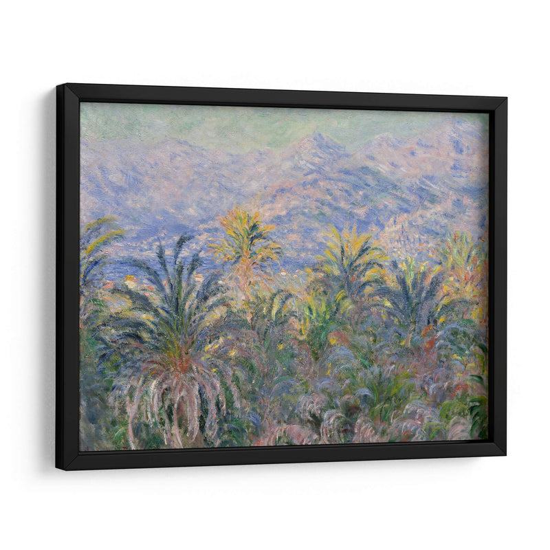 Palm Trees at Bordighera - Claude Monet | Cuadro decorativo de Canvas Lab