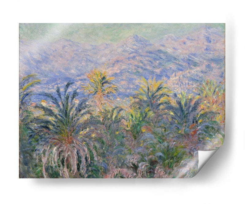 Palm Trees at Bordighera - Claude Monet | Cuadro decorativo de Canvas Lab