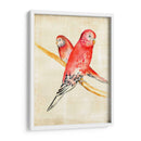 Aves Fantasias I - Chariklia Zarris | Cuadro decorativo de Canvas Lab