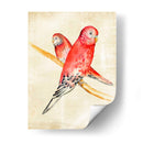 Aves Fantasias I - Chariklia Zarris | Cuadro decorativo de Canvas Lab