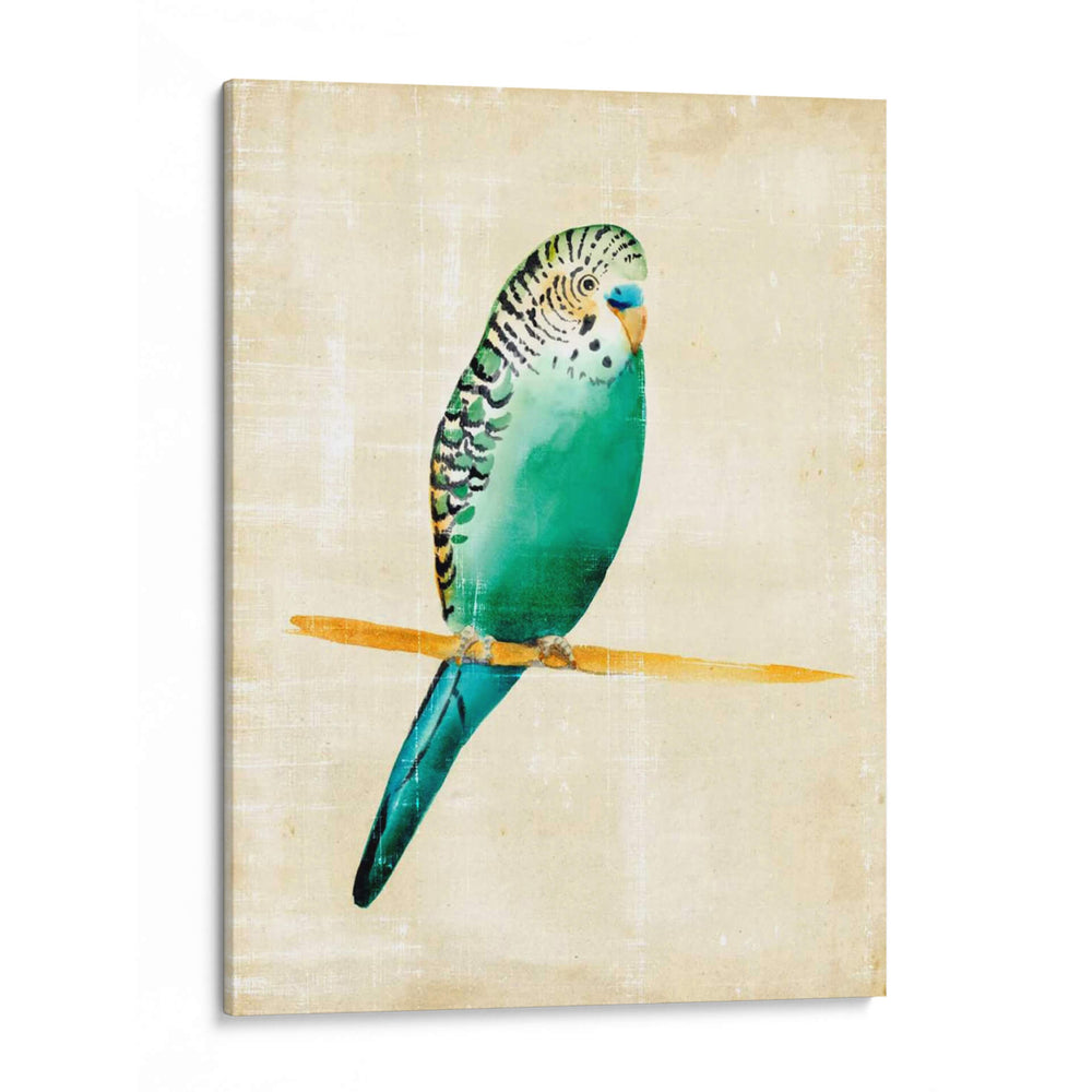 Pájaros Fantasiosos Ii - Chariklia Zarris | Cuadro decorativo de Canvas Lab