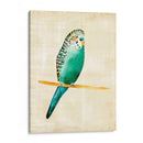 Pájaros Fantasiosos Ii - Chariklia Zarris | Cuadro decorativo de Canvas Lab