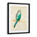 Pájaros Fantasiosos Ii - Chariklia Zarris | Cuadro decorativo de Canvas Lab