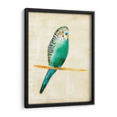 Pájaros Fantasiosos Ii - Chariklia Zarris | Cuadro decorativo de Canvas Lab