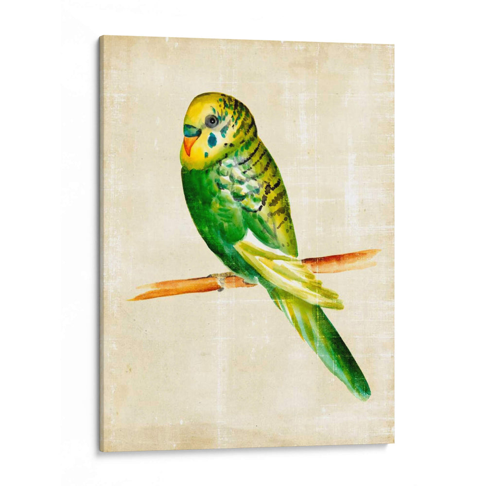 Pájaros Fantasiosos Iii - Chariklia Zarris | Cuadro decorativo de Canvas Lab