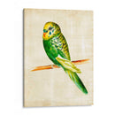 Pájaros Fantasiosos Iii - Chariklia Zarris | Cuadro decorativo de Canvas Lab