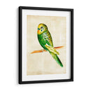 Pájaros Fantasiosos Iii - Chariklia Zarris | Cuadro decorativo de Canvas Lab