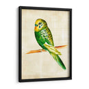 Pájaros Fantasiosos Iii - Chariklia Zarris | Cuadro decorativo de Canvas Lab