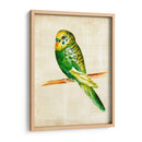 Pájaros Fantasiosos Iii - Chariklia Zarris | Cuadro decorativo de Canvas Lab