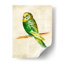 Pájaros Fantasiosos Iii - Chariklia Zarris | Cuadro decorativo de Canvas Lab