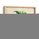 Acuario Peces I - Chariklia Zarris | Cuadro decorativo de Canvas Lab