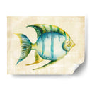 Acuario Peces I - Chariklia Zarris | Cuadro decorativo de Canvas Lab