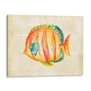 Acuario Fish Ii - Chariklia Zarris | Cuadro decorativo de Canvas Lab