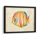 Acuario Fish Ii - Chariklia Zarris | Cuadro decorativo de Canvas Lab
