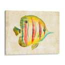 Acuario Fish Iii - Chariklia Zarris | Cuadro decorativo de Canvas Lab