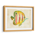 Acuario Fish Iii - Chariklia Zarris | Cuadro decorativo de Canvas Lab