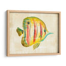 Acuario Fish Iii - Chariklia Zarris | Cuadro decorativo de Canvas Lab