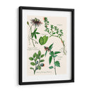 Ensamblaje Dulce I - Melissa Wang | Cuadro decorativo de Canvas Lab