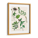 Ensamblaje Dulce I - Melissa Wang | Cuadro decorativo de Canvas Lab