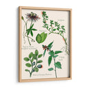 Ensamblaje Dulce I - Melissa Wang | Cuadro decorativo de Canvas Lab