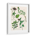 Ensamblaje Dulce I - Melissa Wang | Cuadro decorativo de Canvas Lab