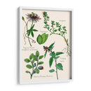 Ensamblaje Dulce I - Melissa Wang | Cuadro decorativo de Canvas Lab